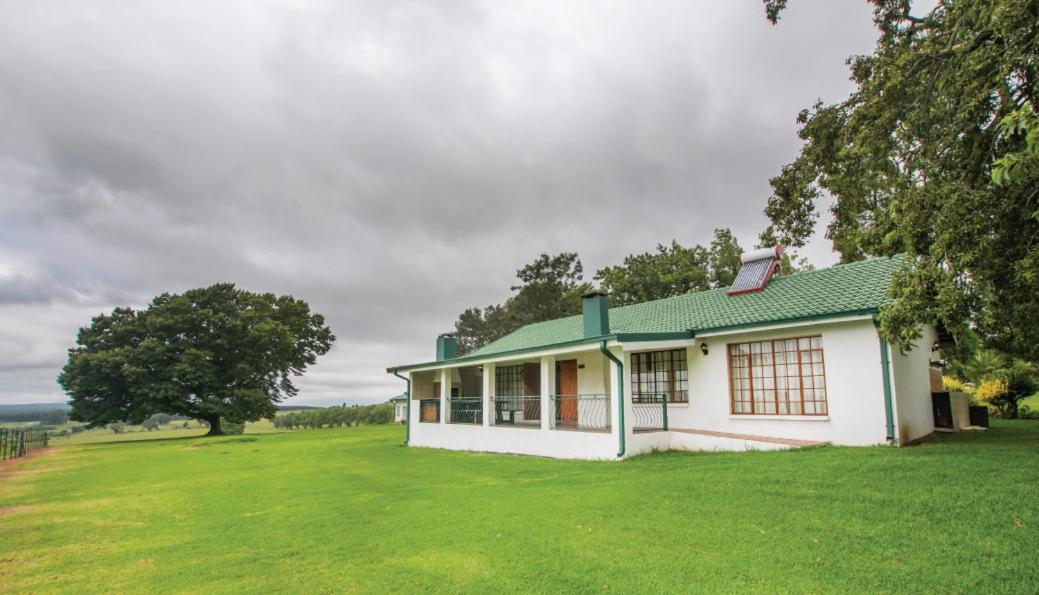 Hoyohoyo Machadostud Lodge Helvetia Noord Exterior photo